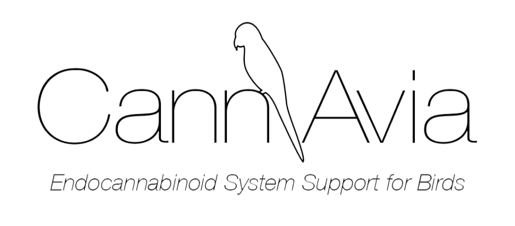 Cann-Avia_logo1-1024x408